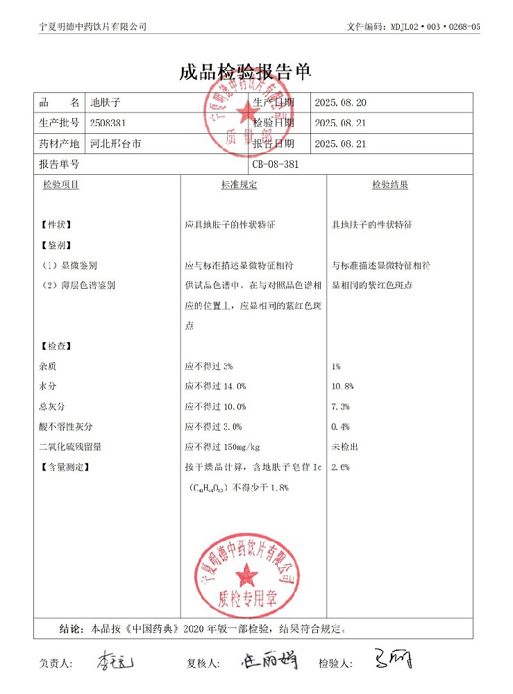 2508381地膚子.jpg